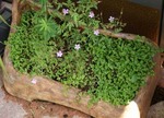 DSC05255_sh01.01.jpg