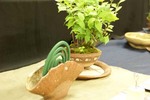 DSC05260.05.jpg