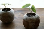 DSC05274.01.jpg